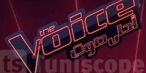 برامج تلفزيونية